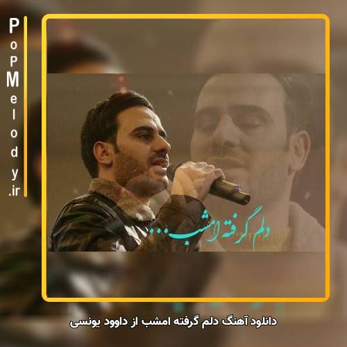 دانلود آهنگ داوود یونسی دلم گرفته امشب